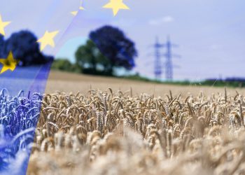 Υπόθεση ΟΠΕΚΕΠΕ – Προανακριτική ζητά το ΠΑΣΟΚ για Βορίδη και Αυγενάκη