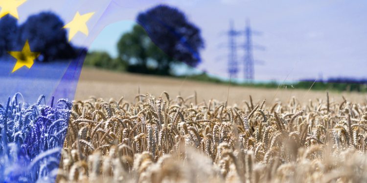 Υπόθεση ΟΠΕΚΕΠΕ – Προανακριτική ζητά το ΠΑΣΟΚ για Βορίδη και Αυγενάκη