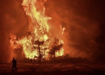 φωτιά στον Ωρωπό