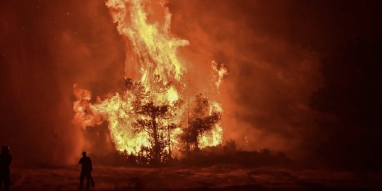 φωτιά στον Ωρωπό