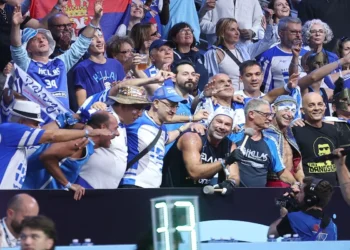 Οι πελαργοί