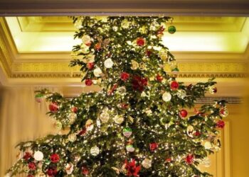 Το Χριστουγεννιάτικο Δείπνο Αγάπης της «ΕΛΠΙΔΑΣ» στο Four Seasons – Μια βραδιά στήριξης για τα παιδιά με καρκίνο