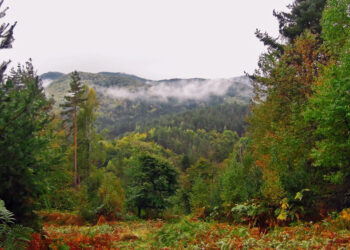 Ξάνθη: Περιμένοντας τα Χριστούγεννα στην «αγκαλιά» της οροσειράς της Ροδόπης