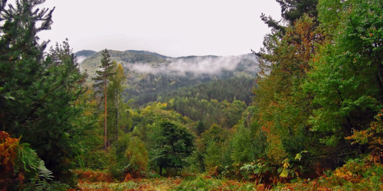Ξάνθη: Περιμένοντας τα Χριστούγεννα στην «αγκαλιά» της οροσειράς της Ροδόπης