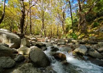 Στενή Ευβοίας: Η πράσινη απόδραση στη Δίρφη που αξίζει κάθε εποχή