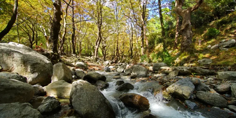 Στενή Ευβοίας: Η πράσινη απόδραση στη Δίρφη που αξίζει κάθε εποχή
