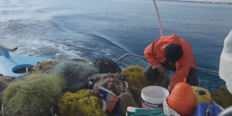 Ελληνική αλιεία σε κρίση