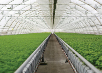 Νέο πακέτο ενισχύσεων για αγροδιατροφή, πρωτογενή παραγωγή και μεταποίηση