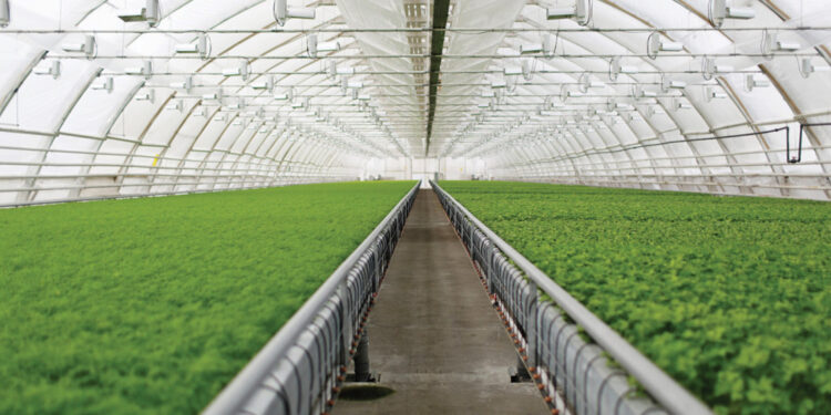 Νέο πακέτο ενισχύσεων για αγροδιατροφή, πρωτογενή παραγωγή και μεταποίηση