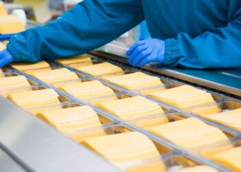 ΙΟΒΕ: Η βιομηχανία τροφίμων και ποτών «ατμομηχανή» της ελληνικής μεταποίησης – Ρεκόρ προστιθέμενης αξίας