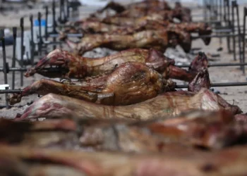 Εκτός αγοράς 300.000 αρνιά λόγω ευλογιάς και αφθώδους πυρετού – «Φωτιά» οι τιμές του οβελία