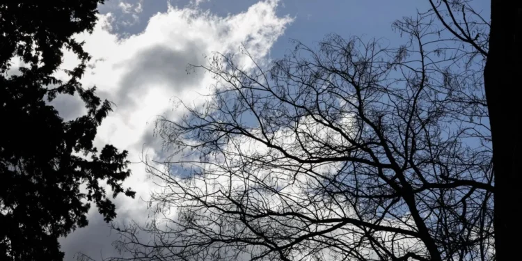 Καιρός: Άστατος με συννεφιά και τοπικές βροχές – Υποχωρούν οι άνεμοι, ανεβαίνει η θερμοκρασία