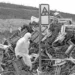 40 χρόνια Τσερνόμπιλ: Οι «αριθμοί», το χρονολόγιο και οι πέντε μύθοι που «στοιχειώνουν» την αλήθεια