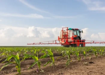 «Καμπανάκι» για την αγροτική παραγωγή που συρρικνώνεται επί σειρά ετών – Οι λόγοι