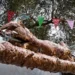 Ο πασχαλινός τζίρος στο 1,5 δισ. ευρώ, με 50% να πηγαίνει για τρόφιμα – Αύξηση τιμών και πτώση κατανάλωσης τα χαρακτηριστικά της αγοράς