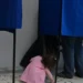 Δημοσκόπηση Real Polls: Στο 27,5% η ΝΔ, στο 16,1% ο Τσίπρας, στο 13,1% η Καρυστιανού και μονοψήφιο για το ΠΑΣΟΚ