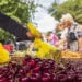 Ο πληθωρισμός πλήττει τα νοικοκυριά: Απλησίαστα τα κεράσια, ανατιμήσεις σε κρέας και ψάρι – Δεν γεμίζει το ψυγείο λόγω ακρίβειας