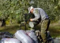 Τα «κόκκινα δάνεια» αγροτών και Αγροτικών Συνεταιρισμών σε τροχιά διευθέτησης