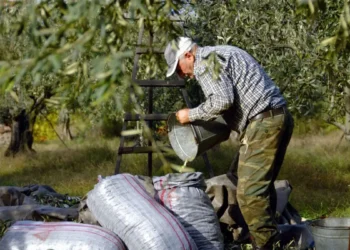 Τα «κόκκινα δάνεια» αγροτών και Αγροτικών Συνεταιρισμών σε τροχιά διευθέτησης