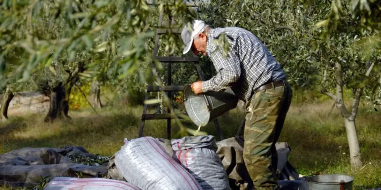 Τα «κόκκινα δάνεια» αγροτών και Αγροτικών Συνεταιρισμών σε τροχιά διευθέτησης