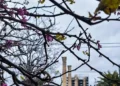 Καιρός σήμερα: Η θερμοκρασία ανεβαίνει έως τους 22 βαθμούς, πού θα πέσουν βροχές και καταιγίδες
