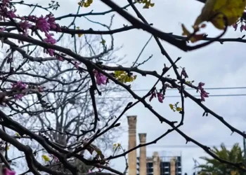 Καιρός σήμερα: Η θερμοκρασία ανεβαίνει έως τους 22 βαθμούς, πού θα πέσουν βροχές και καταιγίδες