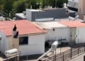 «Τα παιδιά 8 και 9 ετών φορούσαν πάνες, ήταν σαν στρατιωτάκια»: Νέα καταγγελία για την οικογένεια που έμενε μέσα σε ακαθαρσίες στο Περιστέρι