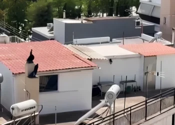 «Τα παιδιά 8 και 9 ετών φορούσαν πάνες, ήταν σαν στρατιωτάκια»: Νέα καταγγελία για την οικογένεια που έμενε μέσα σε ακαθαρσίες στο Περιστέρι
