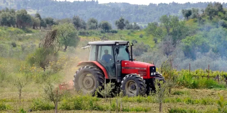 Αγρότες: Παράθυρο έως 29 Μαΐου για δηλώσεις ΦΠΑ χωρίς πρόστιμα