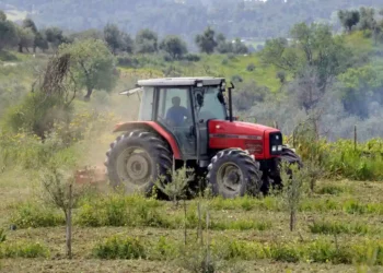 ΑΑΔΕ: Ξεκινά η καταβολή 617,4 εκατ. ευρώ σε πάνω από 1,1 εκατ. δικαιούχους αγροτικών ενισχύσεων