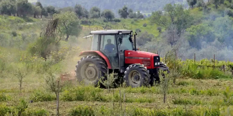 ΑΑΔΕ: Ξεκινά η καταβολή 617,4 εκατ. ευρώ σε πάνω από 1,1 εκατ. δικαιούχους αγροτικών ενισχύσεων