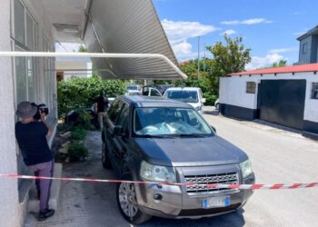 Αίγιο: Για ανθρωποκτονία διώκεται ο 65χρονος Ιταλός – «Ο Μάρκο μεγάλωσε τον Ολύμπιο σαν δικό του παιδί, έχουμε πέσει από τα σύννεφα» λένε φίλοι του