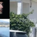 Διπλή δολοφονία στο Αίγιο: Βρέθηκαν ίχνη παρέμβασης στον τόπο του εγκλήματος – Το κρίσιμο 6ώρο και οι νέες καταθέσεις