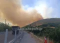 Έκλεισε η Αθηνών – Λαμίας λόγω της φωτιάς στο Ακραίφνιο Βοιωτίας: Επιχειρούν 10 αεροσκάφη και 2 ελικόπτερα