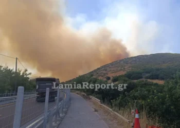 Έκλεισε η Αθηνών – Λαμίας λόγω της φωτιάς στο Ακραίφνιο Βοιωτίας: Επιχειρούν 10 αεροσκάφη και 2 ελικόπτερα