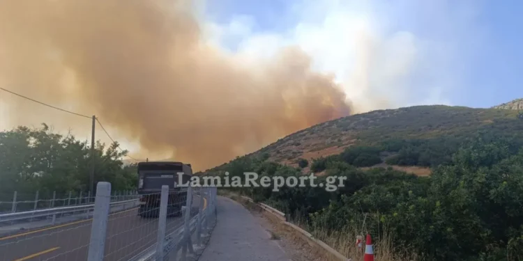 Έκλεισε η Αθηνών – Λαμίας λόγω της φωτιάς στο Ακραίφνιο Βοιωτίας: Επιχειρούν 10 αεροσκάφη και 2 ελικόπτερα