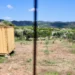 Χανιά: Πώς έσπασε μετά την ολονύχτια ανάκριση ο ενοικιαστής – Τραύματα στο κεφάλι της 45χρονης
