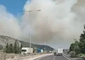 Φωτιά στη Βοιωτία: Μάχη με τις φλόγες στο Ακραίφνιο και με εναέρια μέσα, ήχησε το 112