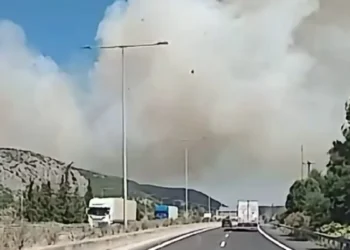 Φωτιά στη Βοιωτία: Μάχη με τις φλόγες στο Ακραίφνιο και με εναέρια μέσα, ήχησε το 112