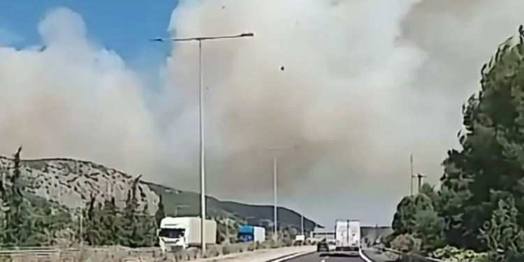 Φωτιά στη Βοιωτία: Μάχη με τις φλόγες στο Ακραίφνιο και με εναέρια μέσα, ήχησε το 112