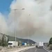 Φωτιά στη Βοιωτία: Μάχη με τις φλόγες στο Ακραίφνιο και με εναέρια μέσα, ήχησε το 112