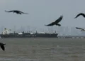 Πετρέλαιo, LNG, λιπάσματα, πλαστικά και αλουμίνιο πλήττονται περισσότερο από τον πόλεμο – Κρίση εφοδιασμού και ελλείψεις