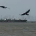 Πετρέλαιo, LNG, λιπάσματα, πλαστικά και αλουμίνιο πλήττονται περισσότερο από τον πόλεμο – Κρίση εφοδιασμού και ελλείψεις