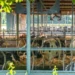Καύσωνας στην Ευρώπη: «Χαριστική βολή» στα αποθέματα τροφίμων που δοκιμάστηκαν με τον πόλεμο στο Ιράν