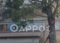 Καλαμάτα: 41χρονος σκότωσε την 39χρονη σύζυγό του μέσα στο σπίτι τους