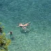Καιρός: Στους 39 βαθμούς Κελσίου ο υδράργυρος καθώς φτάνει ο καύσωνας της Ευρώπης χωρίς ακραίες θερμοκρασίες – Η πρόγνωση των επόμενων ημερών