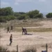 Τα παιχνίδια της Αλβανίας για την επένδυση στη Σβέρνιτσα μετά τα επεισόδια: Η δήθεν άγνοια Ράμα, οι «αδιάφθοροι» και η έρευνα της αστυνομίας