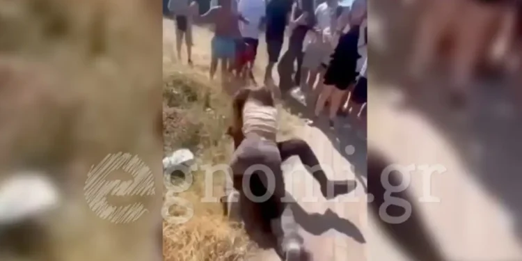 Εύβοια: Άγρια συμπλοκή μεταξύ μαθητριών έξω από σχολείο – Ζητωκραύγαζαν και τραβούσαν βίντεο οι συμμαθητές τους