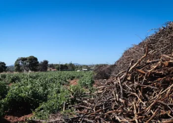 Τέλος χρόνου για τα ακαθάριστα οικόπεδα: Από Τρίτη ξεκινούν οι έλεγχοι με «τσουχτερά» πρόστιμα