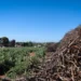Τέλος χρόνου για τα ακαθάριστα οικόπεδα: Από Τρίτη ξεκινούν οι έλεγχοι με «τσουχτερά» πρόστιμα